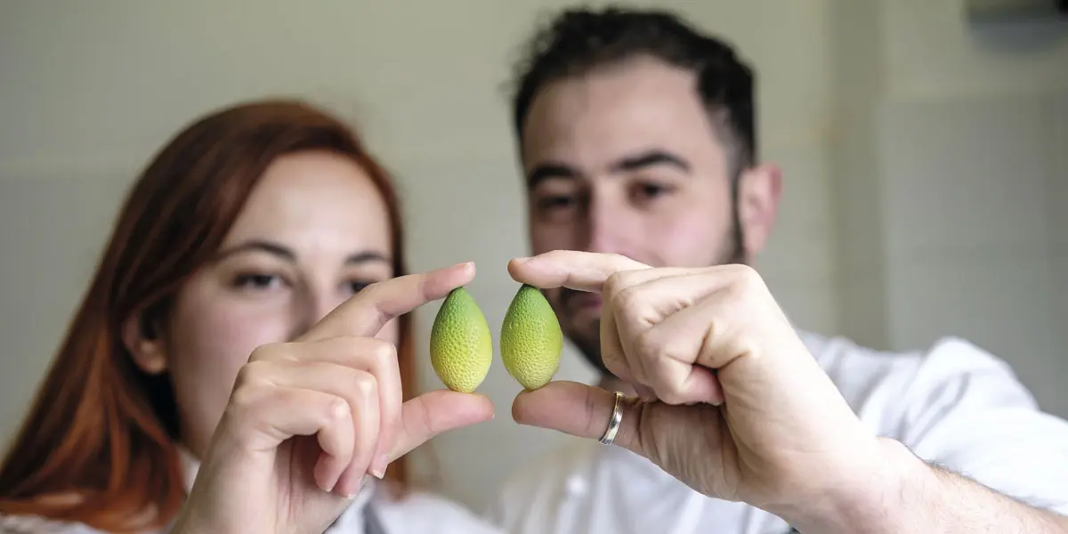 "Intentamos hacer una pastelería que deje huella en nuestros clientes”