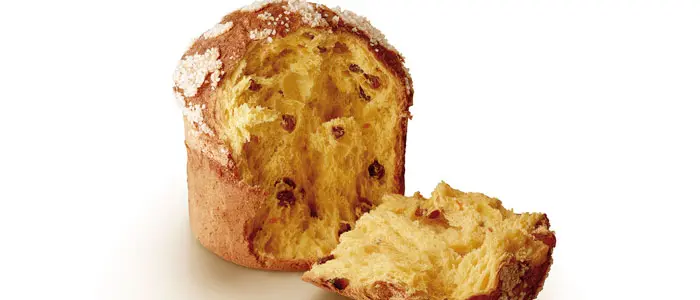 Todo sobre el panettone