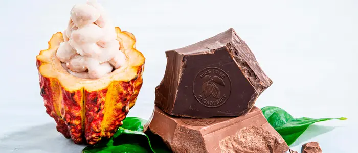 Barry Callebaut lanza un chocolate hecho 100% con fruto del cacao