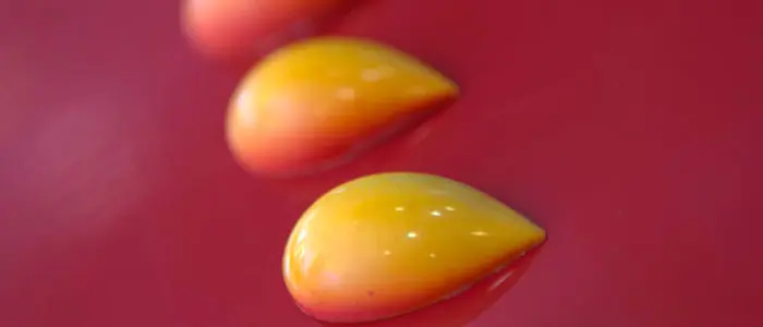 Bombón gianduja de galleta maría y naranja de Hans Ovando