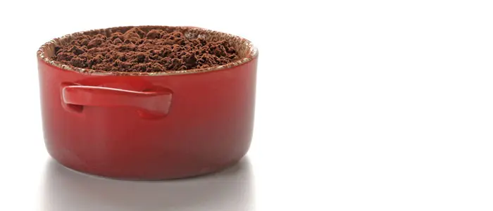 Cocotte de tiramisú de Javier Aguiar (Tapas 24)