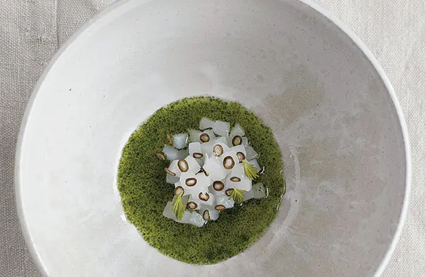 Calamares frescos y caldo de grosellas blancas, de René Redzepi