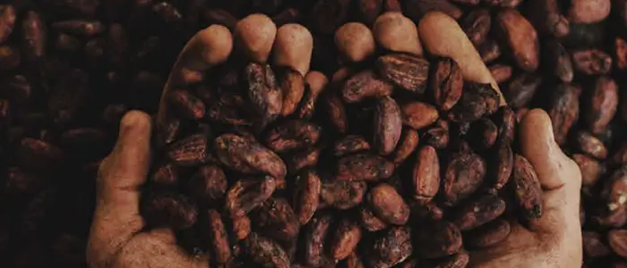 El Foro del Cacao y Chocolate Latino centra su mirada en el impacto del coronavirus