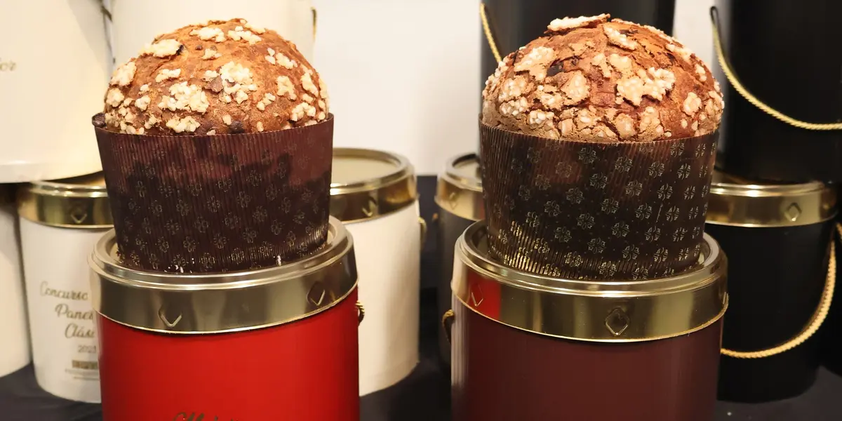 Clásico y chocolate, Lluís Costa se impone en el Mejor Panettone Artesano de España