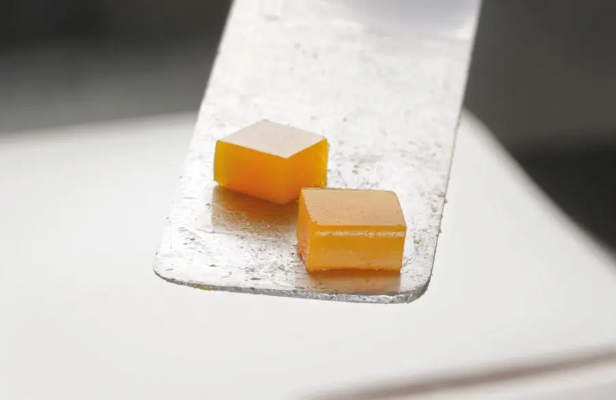 Un tutti frutti 3.0. Dados de fruta con agar agar