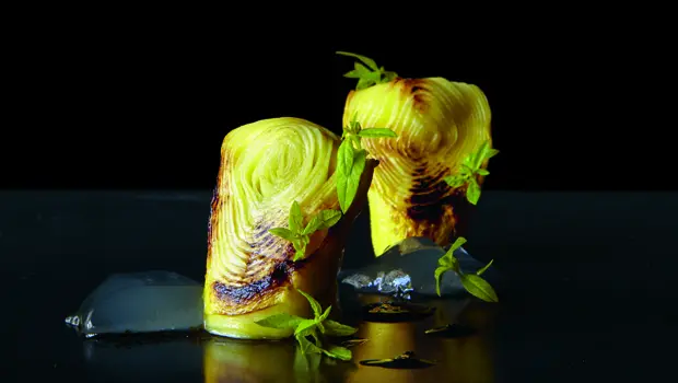 Anémona vegetal, de Alexandre Gauthier