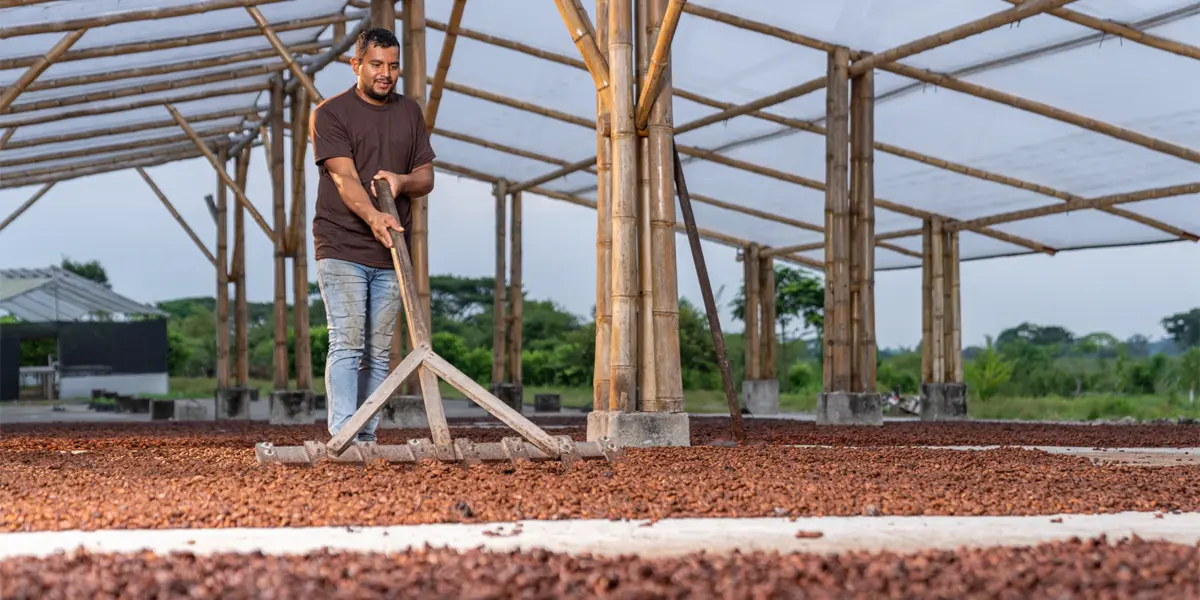 República del Cacao. De Ecuador al mundo