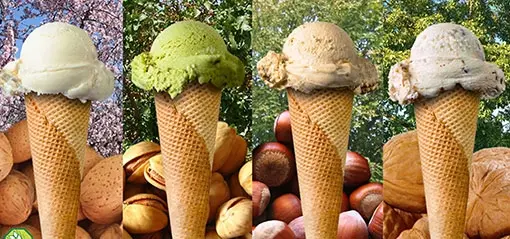 Vuelven los helados de frutos secos de Adelia Iváñez