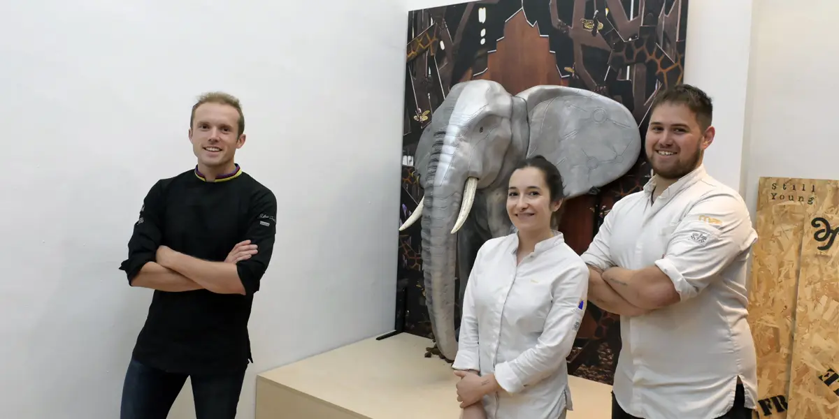 El elefante de chocolate de Lluc Crusellas se instala permanentemente en el Museu de la Xocolata