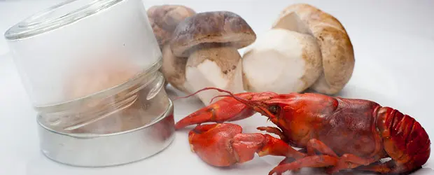 Soria, punto de encuentro de la gastronomía micológica en otoño