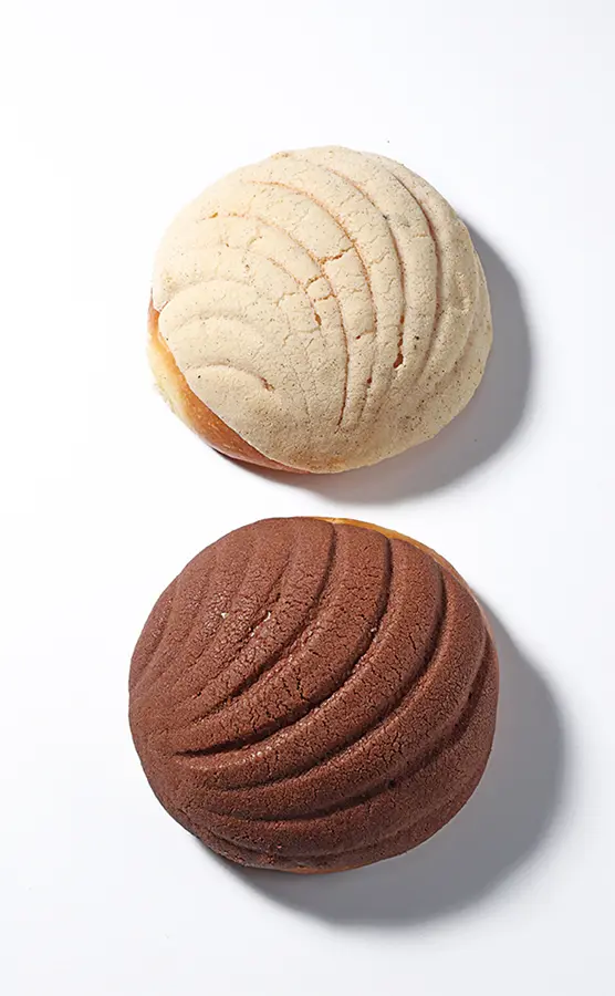 Conchas desde arriba