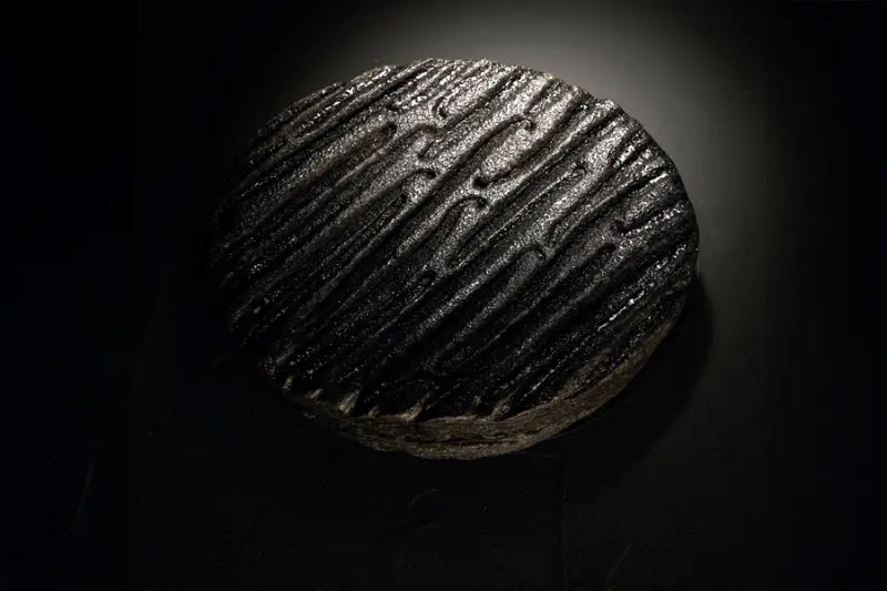 Galette des rois negra