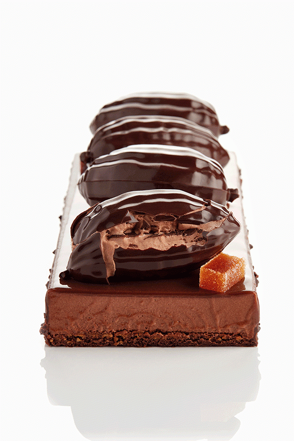 Corte de tronco chocolate OB