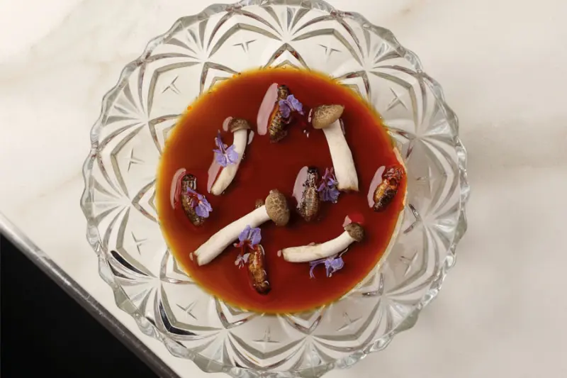 Chawanmushi de grillos
