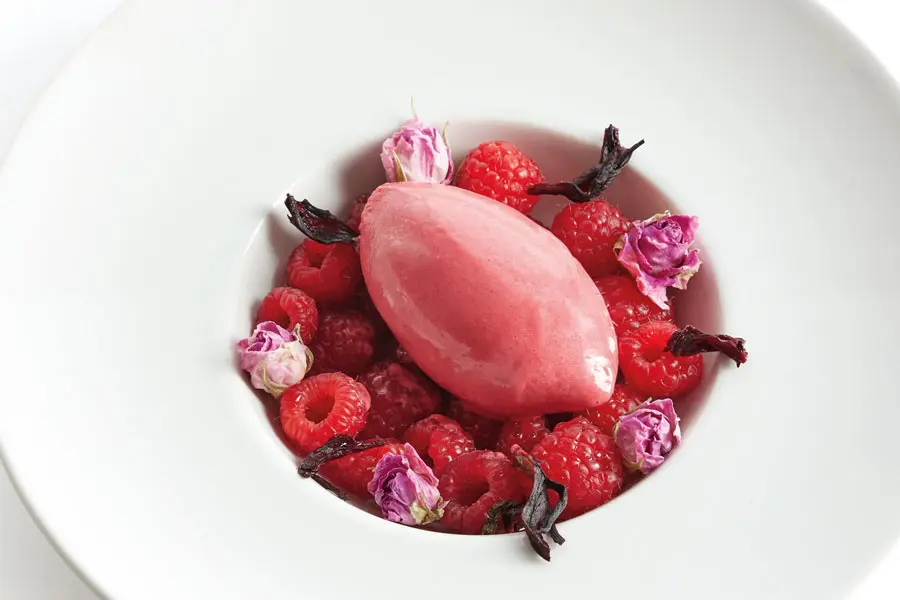 Imagen de Sorbete de frambuesa con kombucha de hibiscos y pétalos de rosa