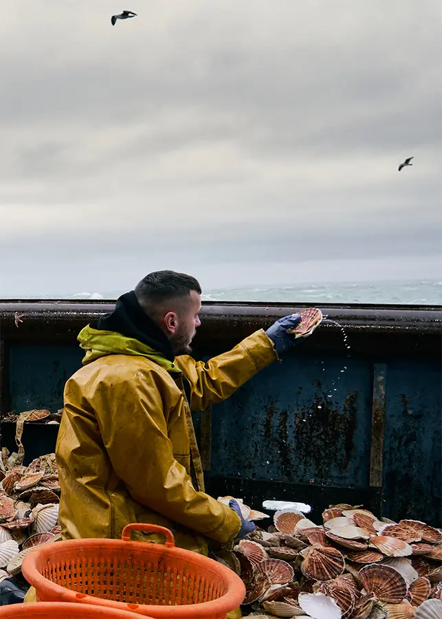 Experto en pesca responsable