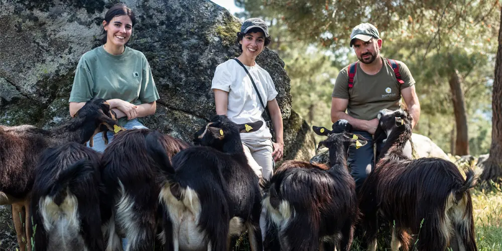 6 heladerías con alma: de la cabra de Guadarrama a la despensa mexicana