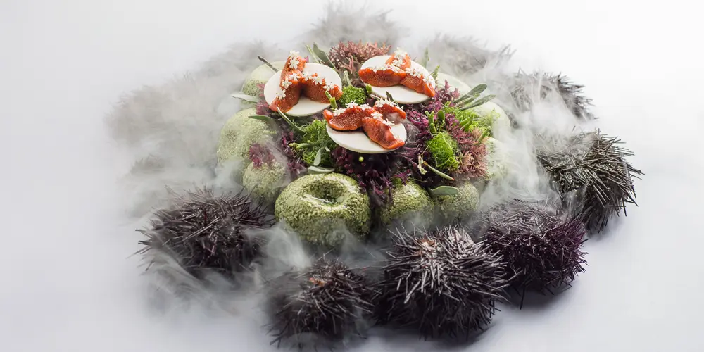 Primera edición del Máster del Mar by Aponiente en Jerez: cocina marina con Ángel León