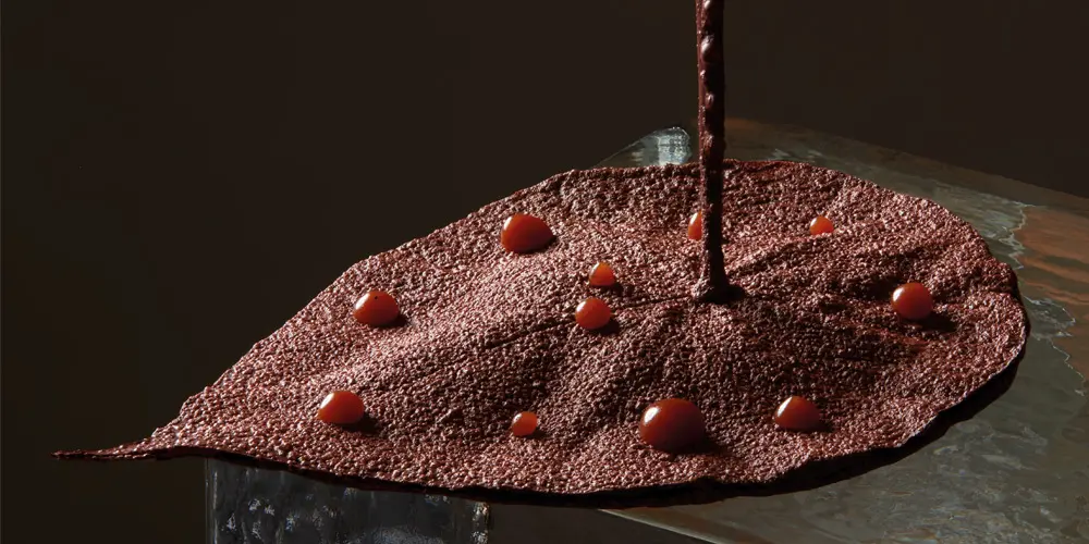Imagen de Snack de chocolate Hoja de Macaranga con chocolate y cardamomo 
