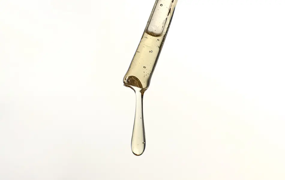 Saber y Sabor 199