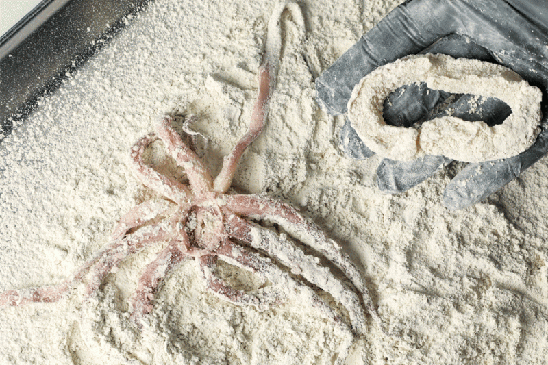 Aplicación de cal viva en cefalópodos