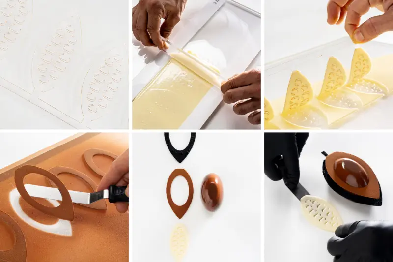 Paso a paso Cacao 365