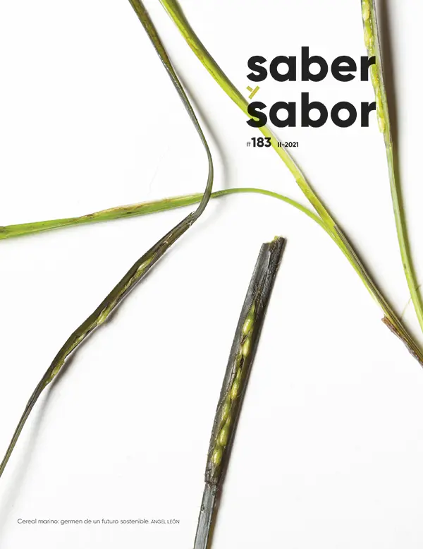 Portada Saber y Sabor 183