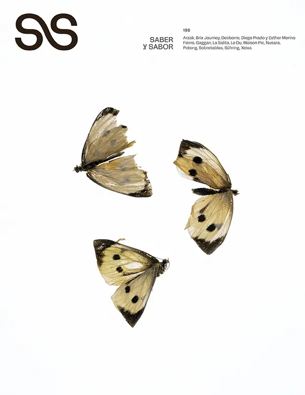 Portada Saber y Sabor 198