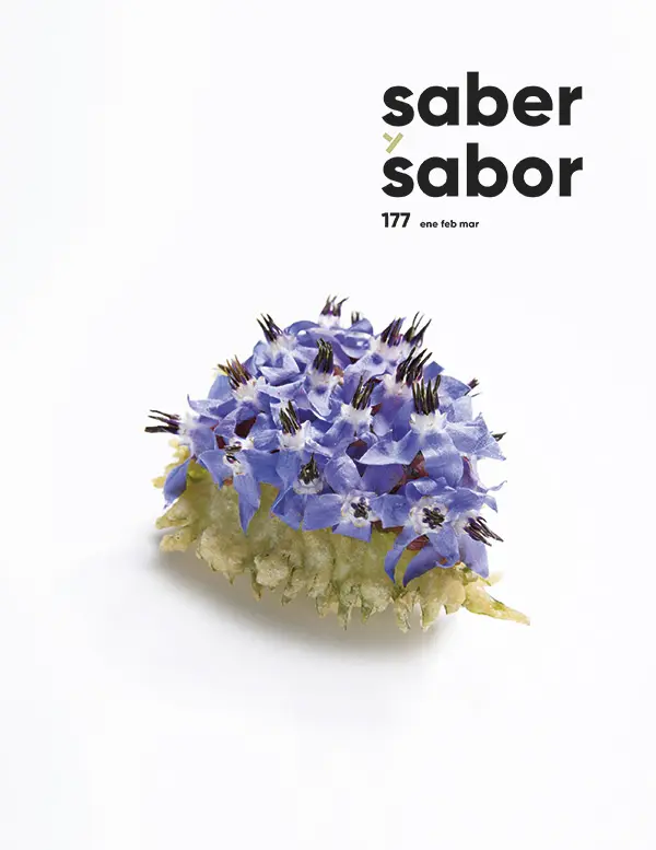 Portada Saber y Sabor 177