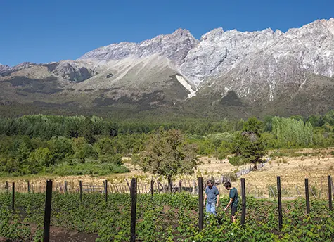 Los helados del paisaje