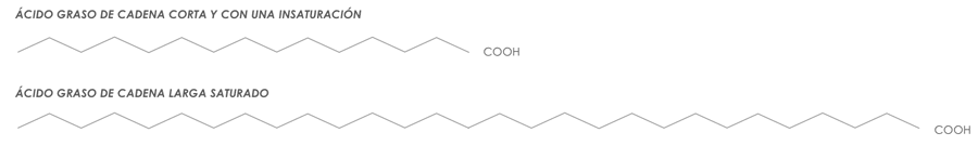 Cadenas de ácido graso