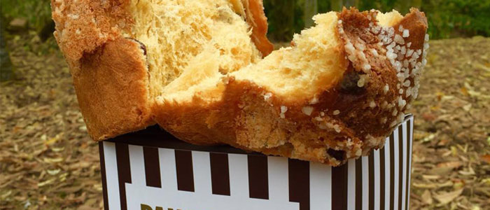 packaging panettone Oriol Balaguer