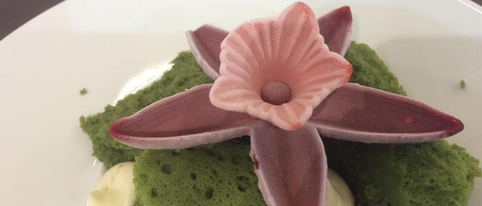 postre con nitrógeno, equipo español Mundial de las Artes Dulces 2016