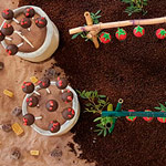 meriendas sant ignasi huerto