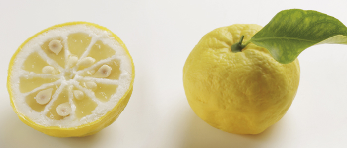 Mímesis de yuzu de Joe Moretones