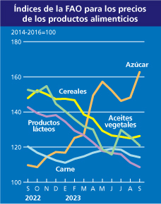 Grádico del precio de los productos alimenticios