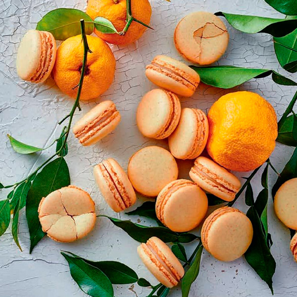 macaron del libro Vegan Pastry de Pierre Hermé