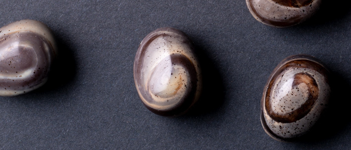 Bombones de Luis Amado