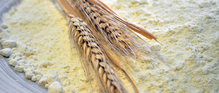 Tritordeum el cereal recomendado por Carlos Mariel