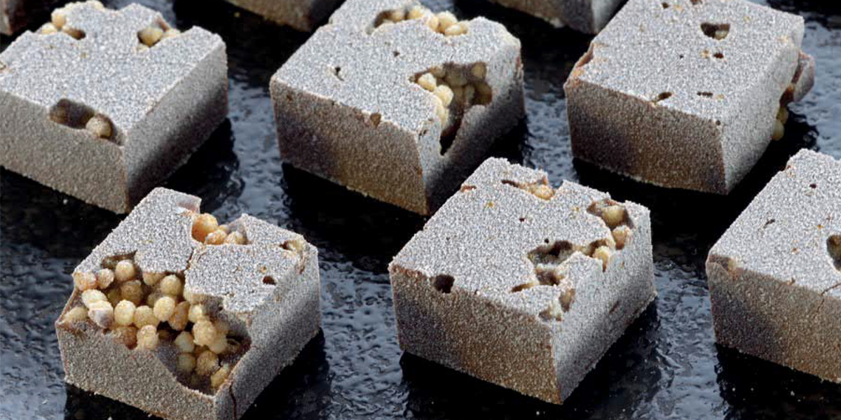 Gianduja con quinoa negra de Xavi Donnay