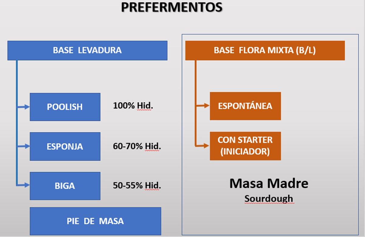 Esquema prefermentos