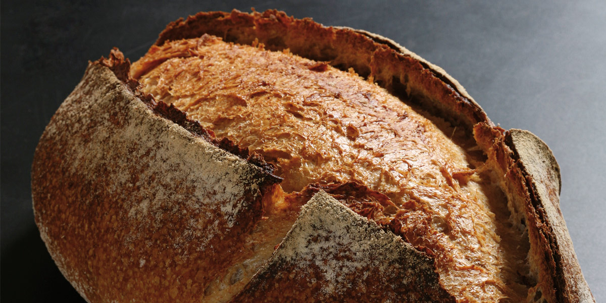 Pan de espelta biológico de Joaquín Llaràs