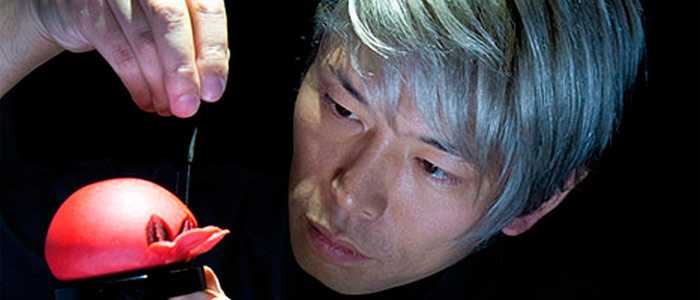 junichi mitsubori ran-giku