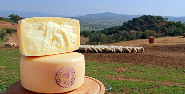 Pecorino Toscano